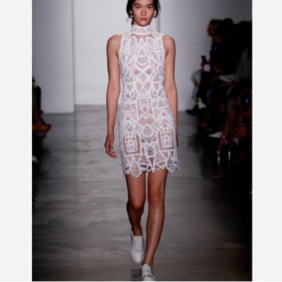 NWT. RUNWAY! $1195 Jonathan SimkhaiLace Dress Size 0